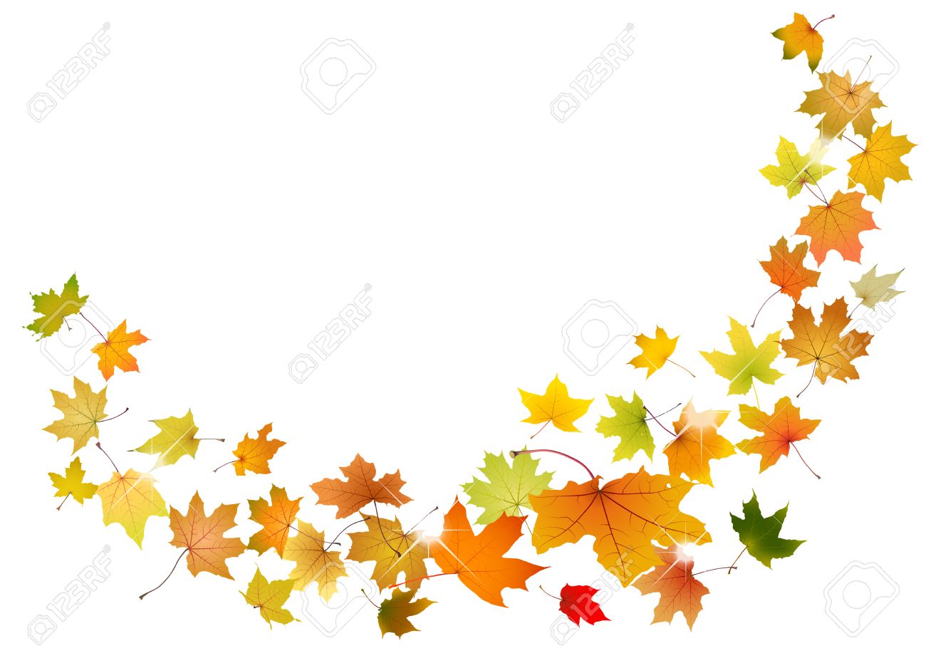 Maple autumn falling leaves, vector illustration.